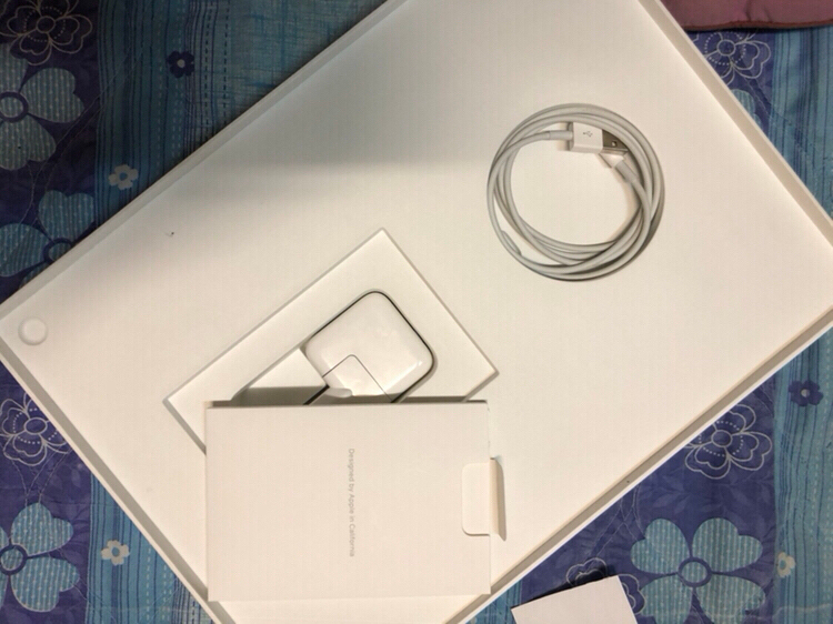 아이패드 프로 12.9인치 2세대 스페이스 그레이--2