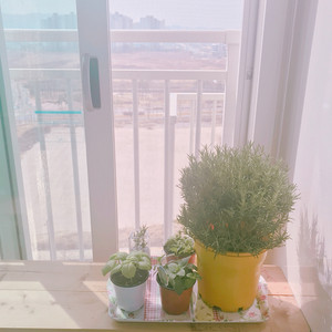 베이킹도구 및 재료