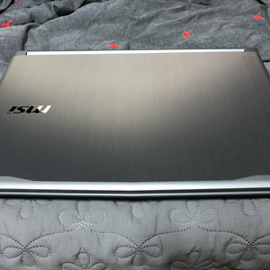 게이밍 노트북 (17인치,120hz) msi pe