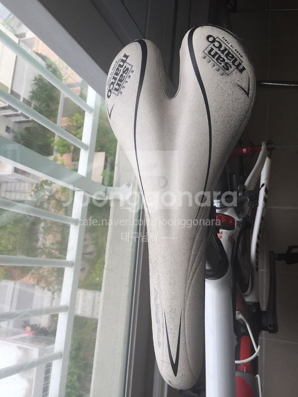 윌리어 트리에스티나 모티롤로 2011 팝니다 대구--3