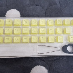 스카이디지탈 키보드(갈축, NKEY-R5 RGB 