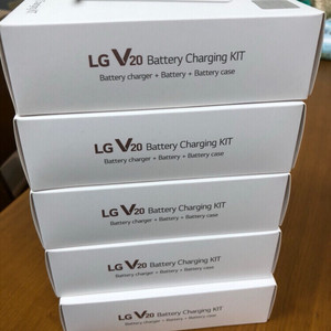 V20 battery charging kit
