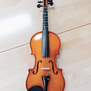 연습용 4/4 바이올린 효정 HV-100 