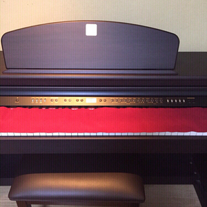 디지털피아노 - 다이나톤 프로 750 DANATO