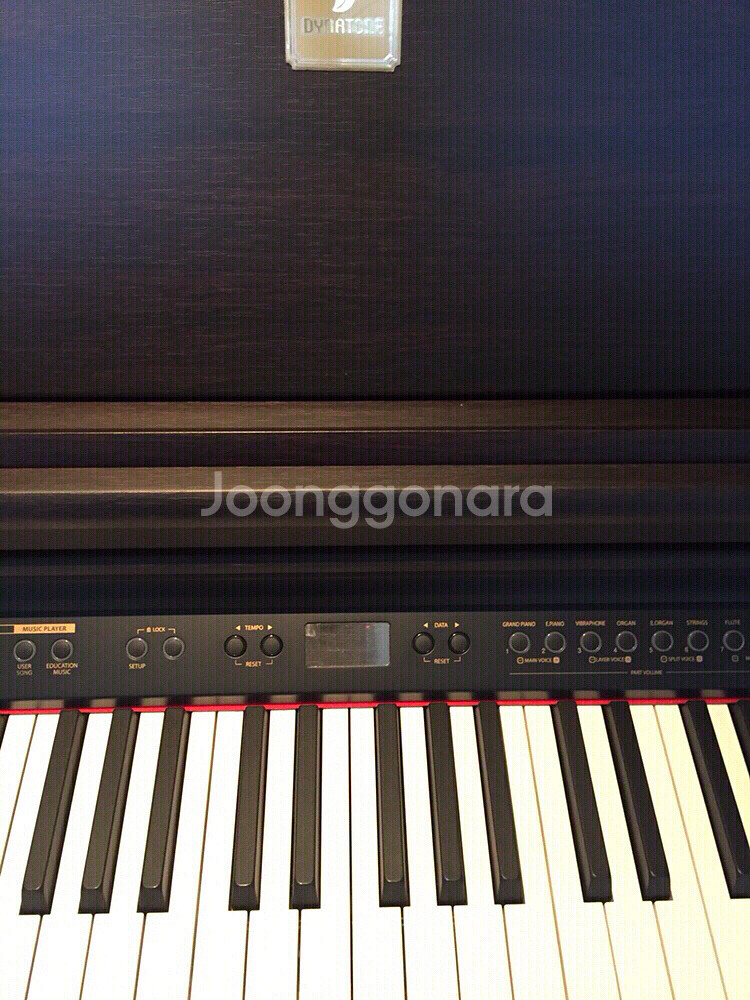 디지털피아노 - 다이나톤 프로 750 DANATO--3