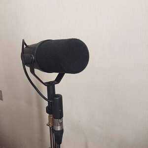 슈어(shure)사의 다이나믹 마이크 sm7b 팝