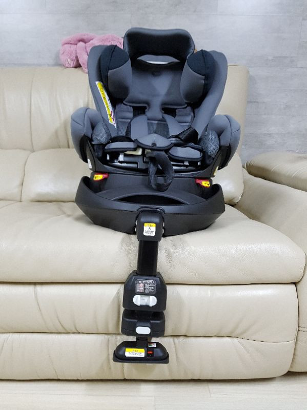 아프리카  카시트 플라디아 이미지