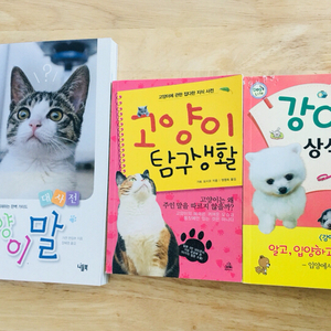 고양이 말, 고양이탐구생활, 강아지상식사전 책