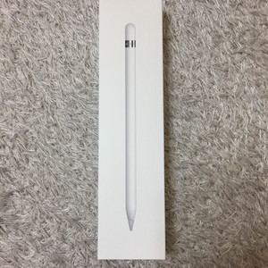 아이패드프로10.5 256g wifi & 애플 펜