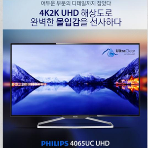 4k UHD 초고화질 모니터  100.5cm 판매