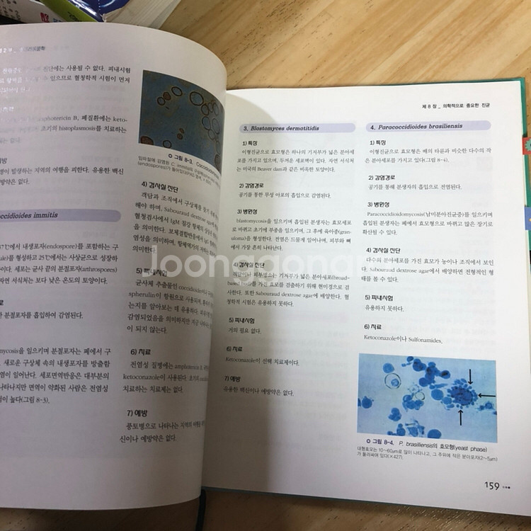 간호학과 책판매--3