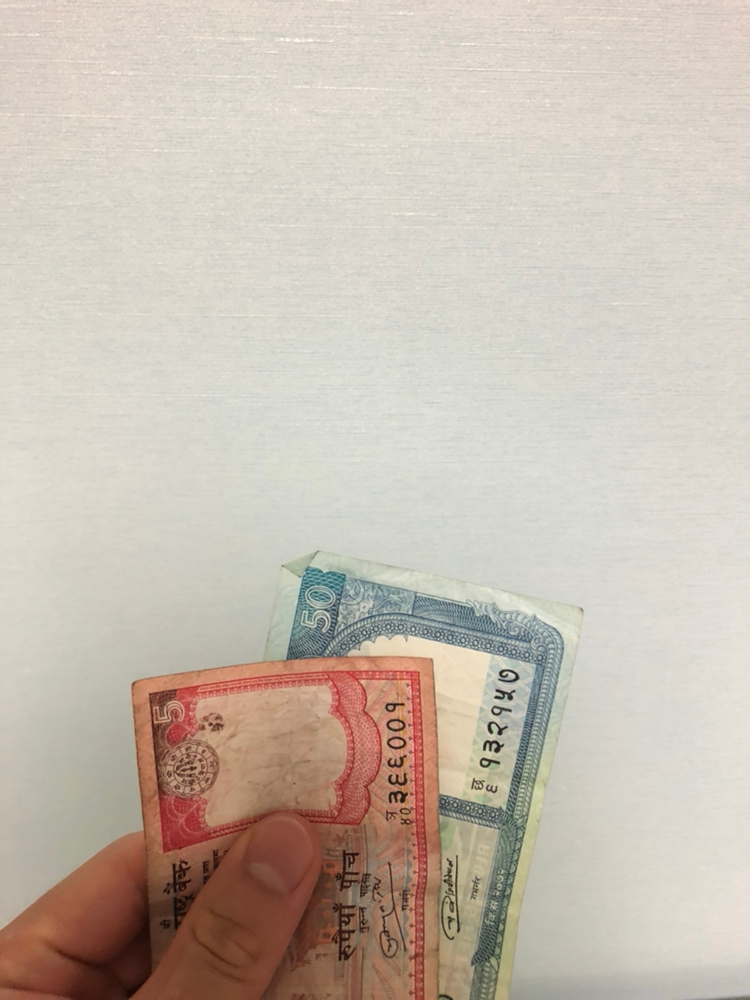 네팔 돈 루피--2