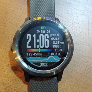 vivoactive3가민 비보액티브3