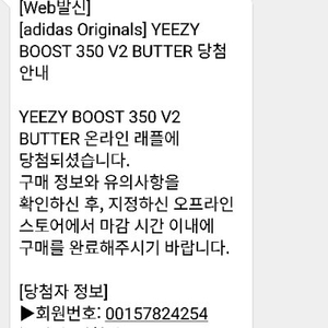 이지부스트 350 v2 버터 사이즈265 홍대