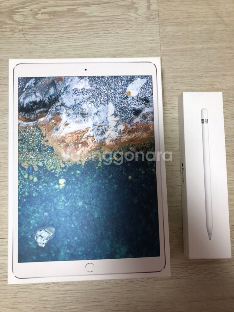 ##아이패드 프로 10.5 64GB 셀룰러모델+애--0