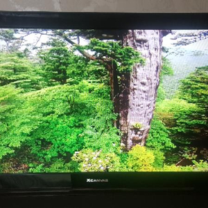 엘지  Xcanvas   42인치 TV