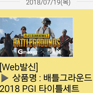 배틀그라운드 pgi 한정판 세트