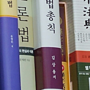 언론법 한국의 현실과이론 택포1.4