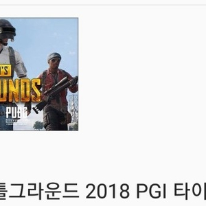 배틀그라운드 2018 PGI 세트 (빠른거래)