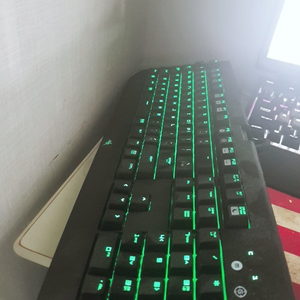 razer blackwidow키보드 팔아요