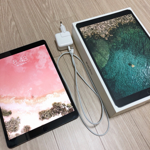 아이패드 프로 pro 10.5 256GB 스페이스