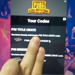  pgi 2개 15000원에 팝니다(가격맞춰드려요