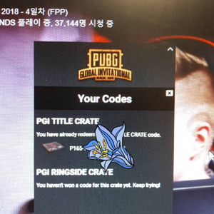 배틀그라운드 PGI 타이틀세트 팝니다~!