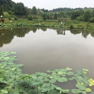 암웨이 정수기 이스프링정수기 팔아요 새상품