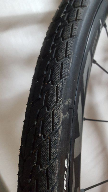 2018자이언트 에스케이프0 하브디스크팝니다--7