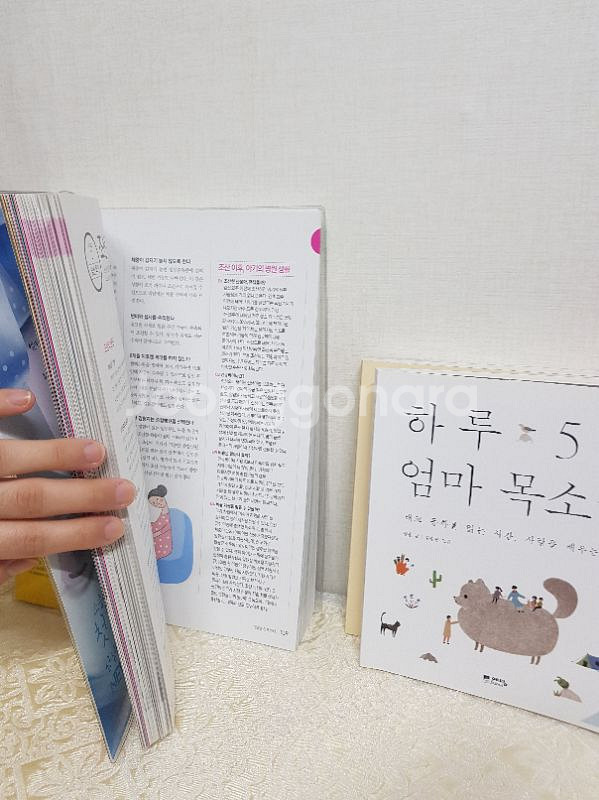 임신+출산#육아+태교 4종세트입니다(사용감없어요)--2