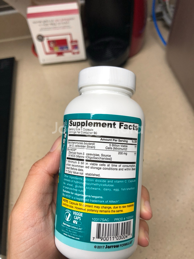 사카로미세스 보울라디--1