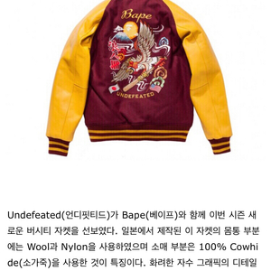 베이프x언디핏(Bape x undefeated) 