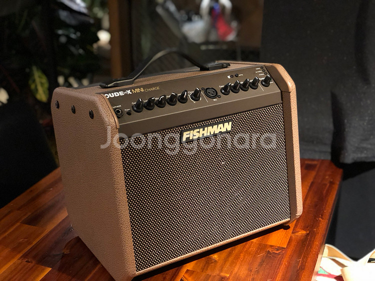 버스킹앰프 피시맨 라우드박스 미니 차지--0