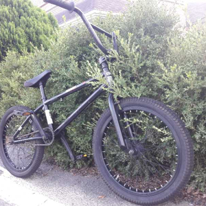 bmx 아메리칸이글