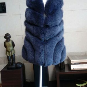 진도 엘페 폭스베스트
