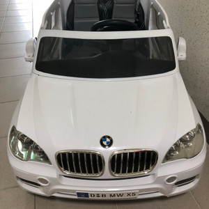 파파야 bmw x5 전동차