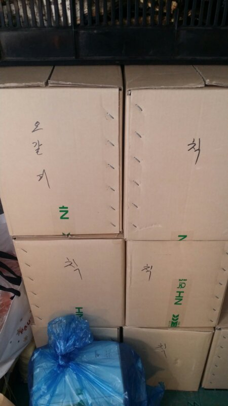 혈압  낯추는 오갈피, 칡, 도라지, 호박, 붕어--2