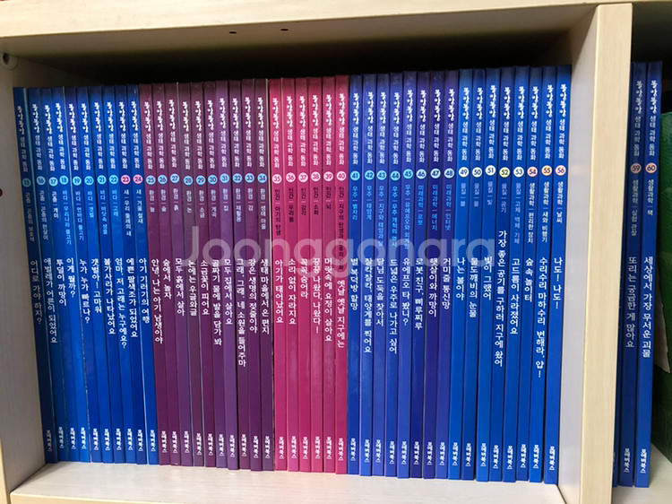 똘망똘망 과학그림책 60권--0