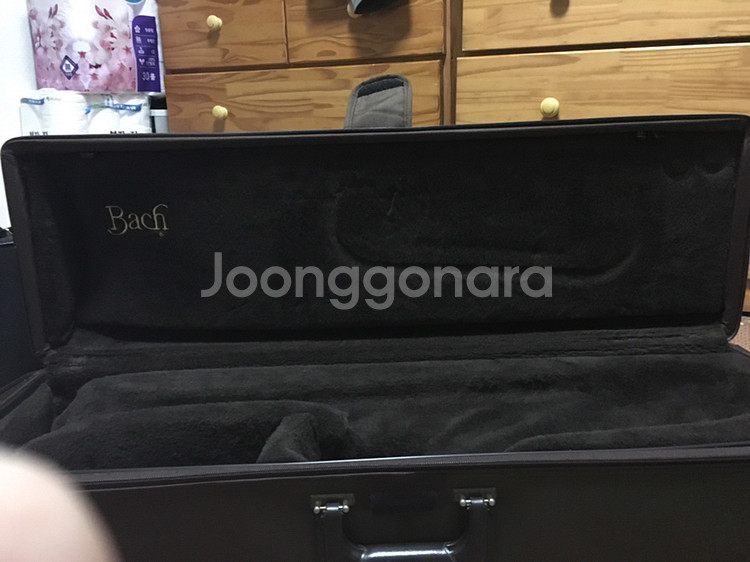 트롬본 스트라디바리우스 하드 케이스 팝니다--5