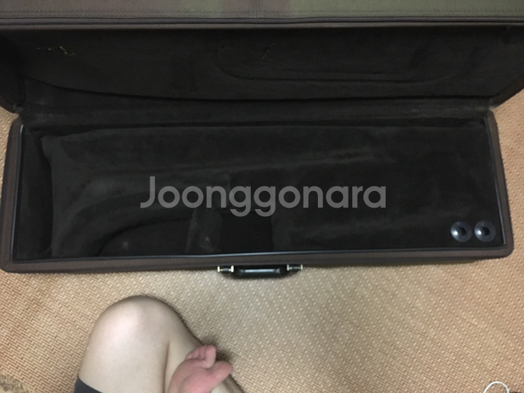 트롬본 스트라디바리우스 하드 케이스 팝니다--6