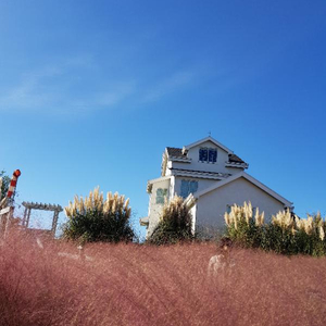 키티볼링공삽니다