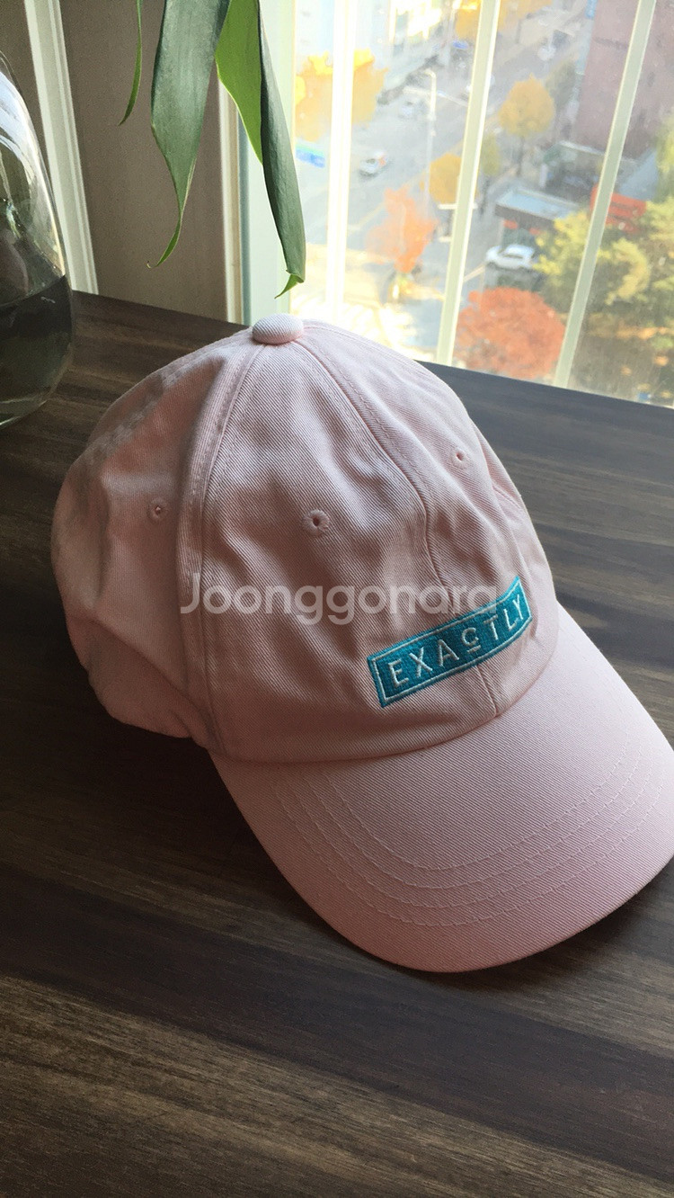 핑크색 캡 모자 클라이드 수영장 수영모 사용 야구--0