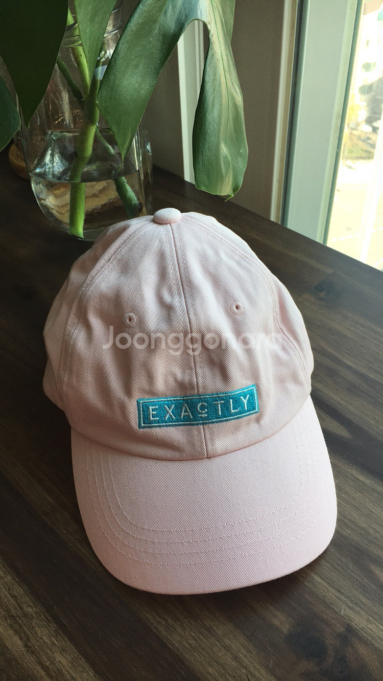 핑크색 캡 모자 클라이드 수영장 수영모 사용 야구--1