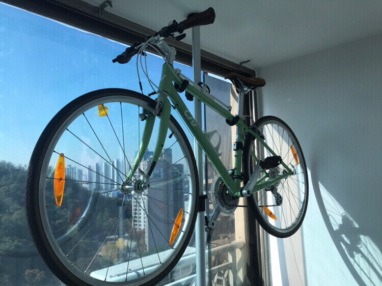 (가격 수정) 자이언트 자전거-Liv Freeda 여성--1