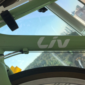 (가격 수정) 자이언트 자전거-Liv Freeda 여성