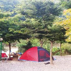 4계절용 베른 피타44 텐트 급처