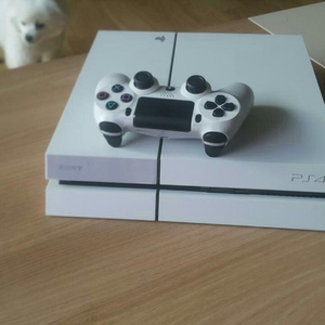 PS4 WHITE 500GB + MONSTERHU