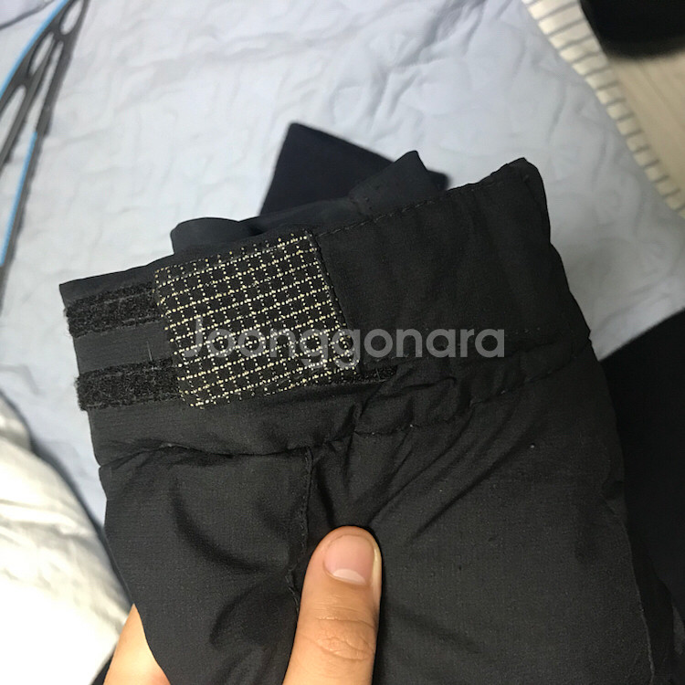 코볼드100(L)--2
