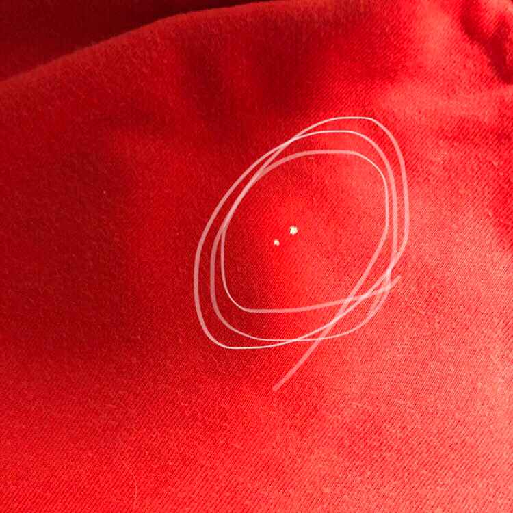 라코스테 후드--2