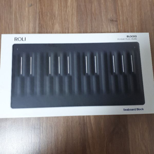 roli seaboard 팝니다 20만원